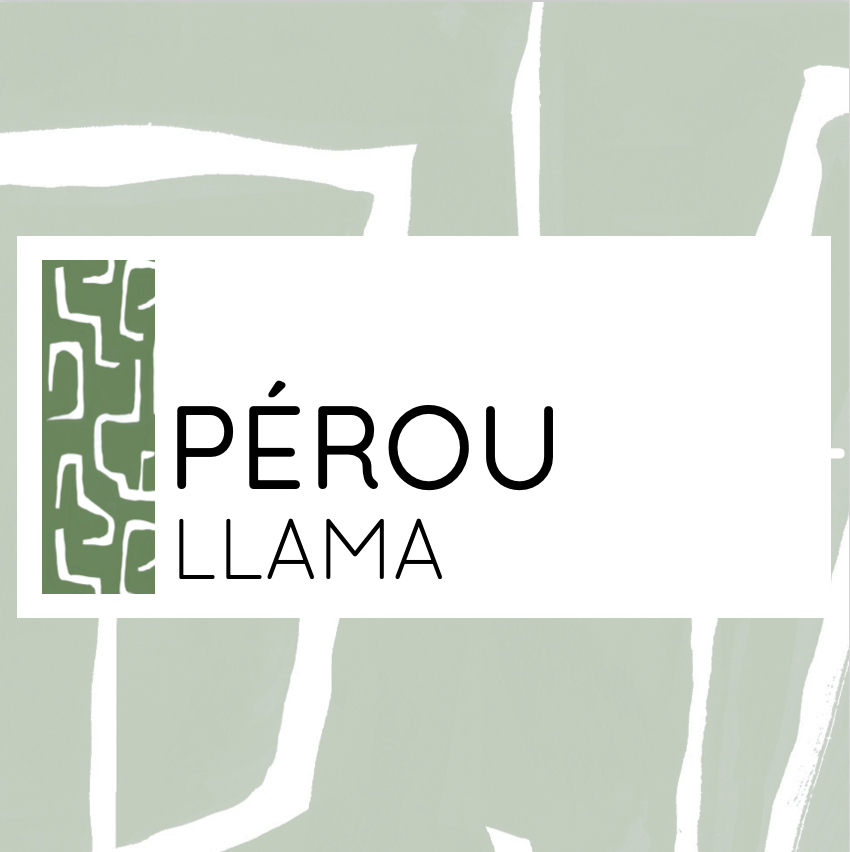 Pérou - Llama
