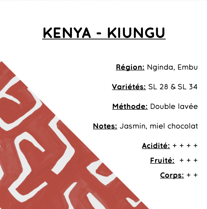 Kenya - Kiungu AB