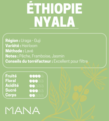 Éthiopie - Nyala