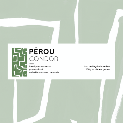 Pérou - Condor