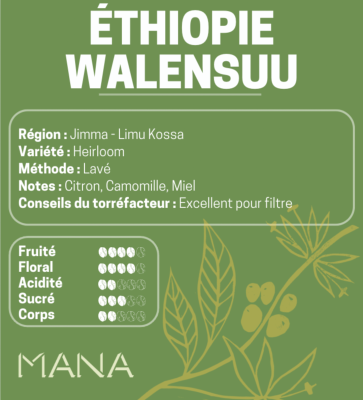 Éthiopie - Walensuu