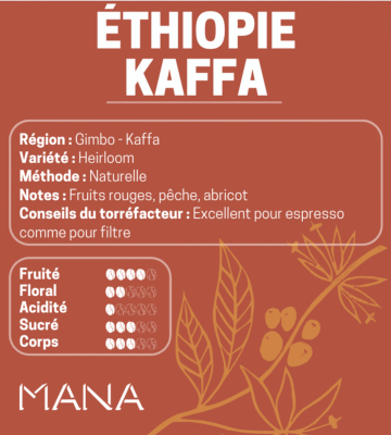 Éthiopie - Kaffa